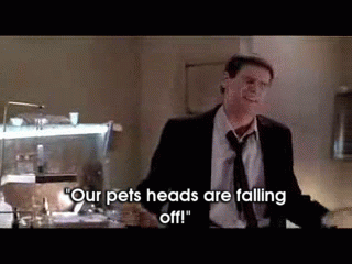 Dumb And Dumber Pets GIF - Dumber Dumb Pets - Discover & Share GIFs