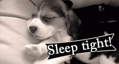 Image result for animated goodnight gifs