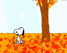 Leaf GIF - Fall Autumn Wind - Discover & Share GIFs