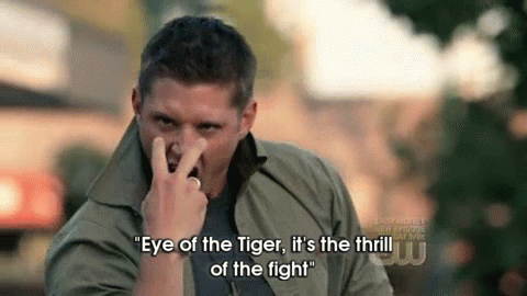 Image result for eye of the tiger gif