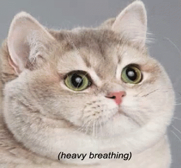 Me watching the final episode