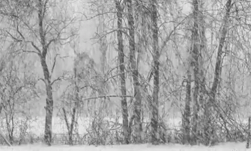 Afficher l’image source Résultat d’images pour gif animé tempete de neige