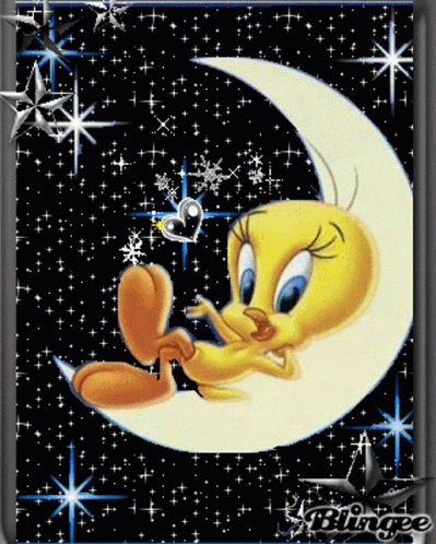 Gif coup de coeur  - Page 15 Madison-tweety