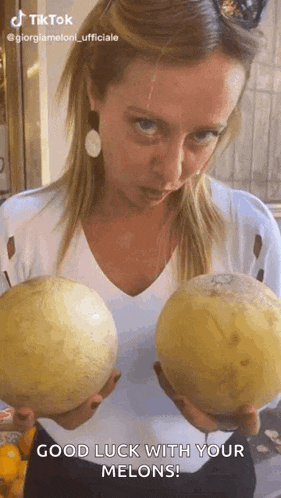 meloni-melon.gif